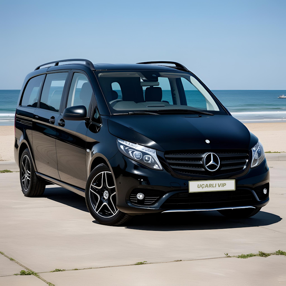 VIP Van